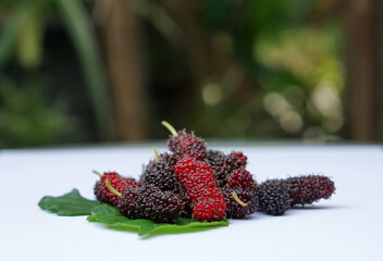 The red mulberry lays on the leaves and the white background is blurred, Mulberry contains very...