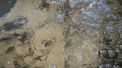 Plant for growing sturgeon and caviar for the food industry. tanks with clean water for beluga and...