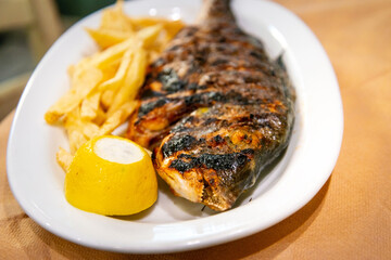 Fresh grilled sea bass served with fried potatoes in white plate
