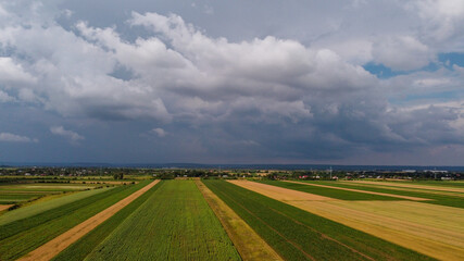 Agricultural field in a cloudy day