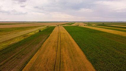 Agricultural field in a cloudy day