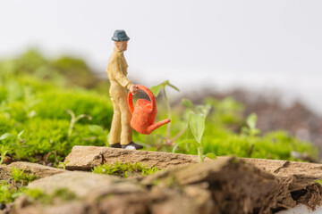 Young man working on green Grass
