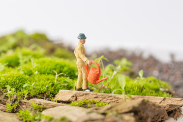 Young man working on green Grass
