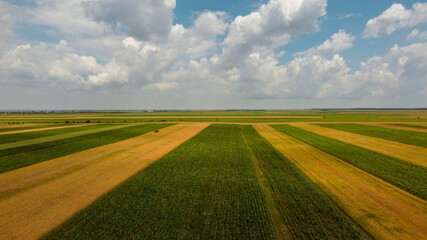 Obraz premium Agricultural field in a cloudy day