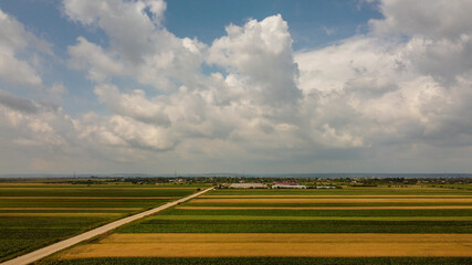 Storm above a agricultural plain  country road