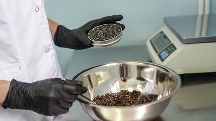 Quality black caviar with sturgeon. Workshop for the production of a quality product. Beluga and trout in the food industry. Stock photo