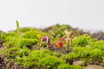 Young man working on green Grass
