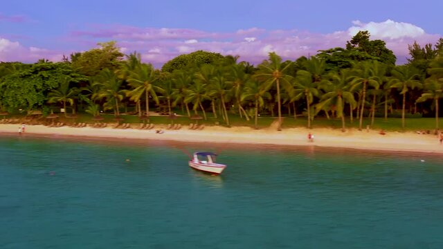 Aerial drone shot in sunny day time. Close up fly over palm trees mangrove forest and beautiful beach lagoon. Located in martinique.