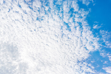 Vivid blue sky with crowded clouds. ( pastel color )