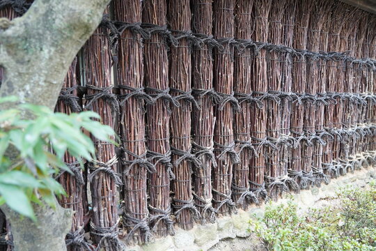 3 590 Best Trellis Fence Images Stock Photos Vectors Adobe Stock 3 590 Best Trellis Fence Images Stock Photos Vectors Adobe Stock