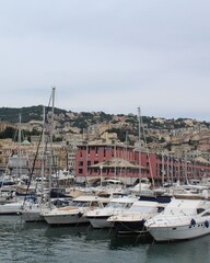boats in the harbor