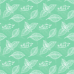 Mint Leaf Seamless Pattern. Hand Drawn Eco Peppermint Tea. Fresh Mint leaves. Menthol. Medicinal plants. Spicy Herbs Vector Background.
