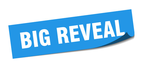 big reveal sticker. big reveal square isolated sign. big reveal label