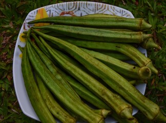 Okra vegetables on hand