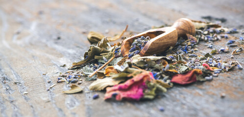 Banner oder Hintergrund: Getrocknete Kräuter, Blütentee mit Lavendel auf Holzuntergrund mit einer Holzschütte für Tee oder Gewürze
