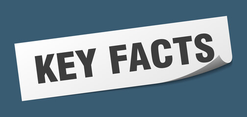key facts sticker. key facts square isolated sign. key facts label