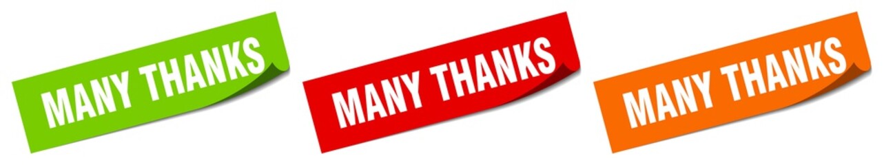 many thanks sticker. many thanks square isolated sign. many thanks label
