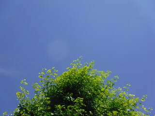 それぞれが　それぞれに　向かって