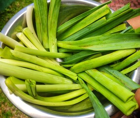 Fresh leeks in srilankan market