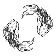 Hand drawn outline Koi fish vector illustration, tattoo design, japan style, line art ink work, animal wildlife.