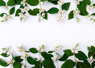 Composition of blooming flowers on a white background. Line of jasmine with green leaves at the top and at the bottom. Summer concept for Birthday, Valentine`s day, Women`s day. Top view, copy space