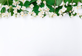 Composition of blooming flowers on a white background. Row of white jasmine with green leaves on top. Summer nature concept for Birthday, Valentine`s day, Women`s day. Top view, close up, copy space