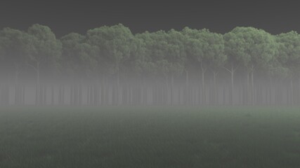 dark forest in the fog 3d render