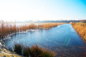 beautiful nature reserve in the Netherlands in winter, frozen ditch