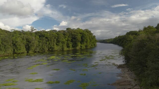 River along Amazon Jungle in South America, Guyana. Dronen aerial view of Kaieteur falls River with trees, blue Sky and Flowing Water