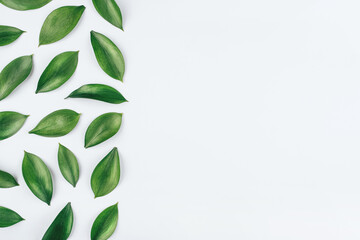 Natural background made of fresh green leaves. Flat lay. Nature concept.