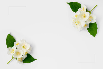 Jasmine flowers lie on a white surface. Blank for greeting card with place for text.