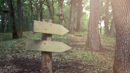 Two blank wooden directional arrow signs in forest template copy space .Adventure crossroad sign...