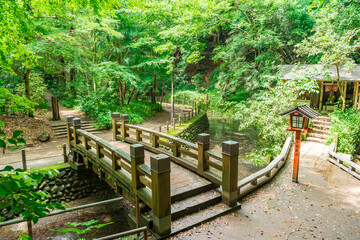 東京都世田谷区等々力にある等々力渓谷の景色
