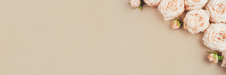 Spring background. Rose flowers on a beige background. Flat lay. Copy space for your text.