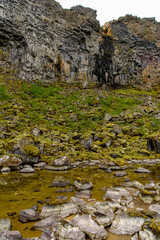 Nature of the Asbyrgi canyon, the north of Iceland