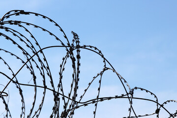 Barbed wire on background of blue sky. Concept of boundary, prison, war or immigration