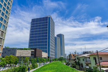 Fototapeta premium 東京都世田谷区二子玉川から見る東京の景色