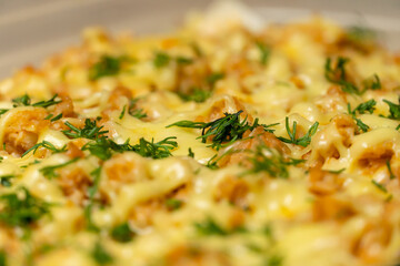 Delicious beautifully cooked lasagna sprinkled with green dill close up