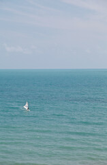 Naklejka premium Praia de Canoa Quebrada, Ceará