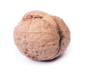 One big walnut