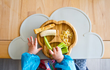 Plate of food for baby nutrition BLW (baby-led weaning) with baby hands grabbing for food (directly above)