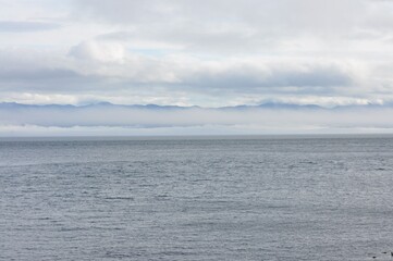 Fototapeta premium 6172020i