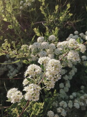 Processed with VSCO with a6 preset