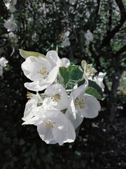 Processed with VSCO with u3 preset