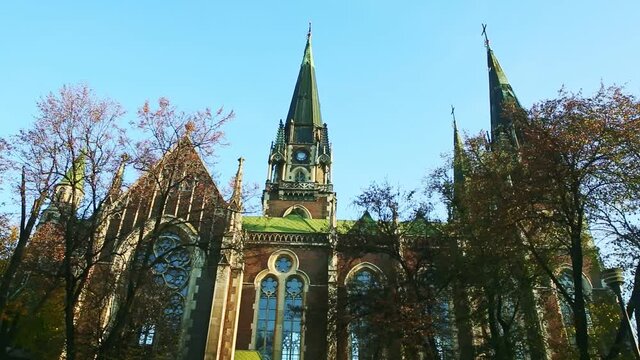 pigeons fly above old catholic cathedral church of st. Olga and Elizabeth in Lviv, Ukraine