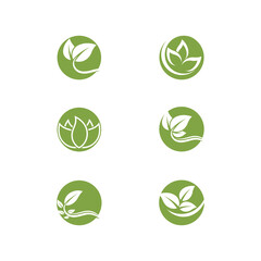 Set Leaf Logo Template vector