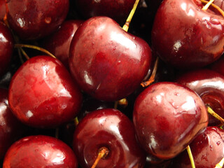 cerises dans un bol fruits de saison