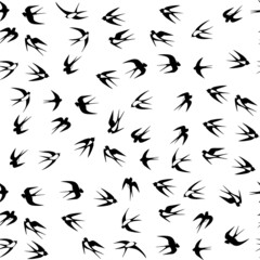 Swallows pattern vector illustration