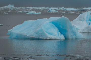 Icebergs from Prospect Point, Antarctica