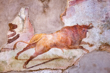 Pompeii Naples Italy, along with Herculaneum and many villas in the surrounding area (e.g. at...